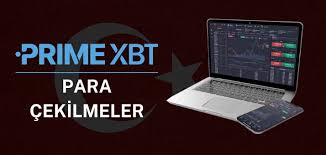 Explore PrimeXBT Forex The Future of Trading