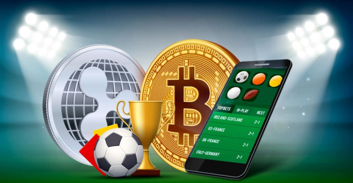 Discover the Best in Online Betting with Hola Bet