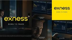 Comprehensive Guide to Analytics Exness