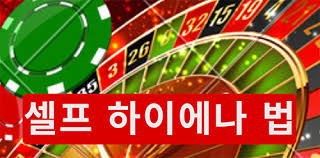 카지노 룰렛 사이트 초보자부터 전문가까지 모두를 위한 가이드