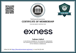 Everything You Need to Know About the Exness App