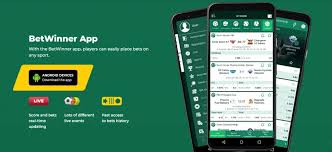Ultimate Guide to BetWinner Casino Betting 0
