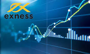 Understanding Exness Limited A Deep Dive into Online Trading
