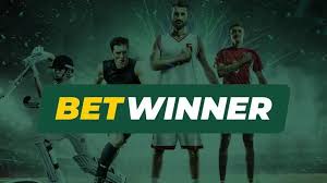 Explore the Best of BetWinner Cameroon Casino Explore the Best of BetWinner Cameroon Casino